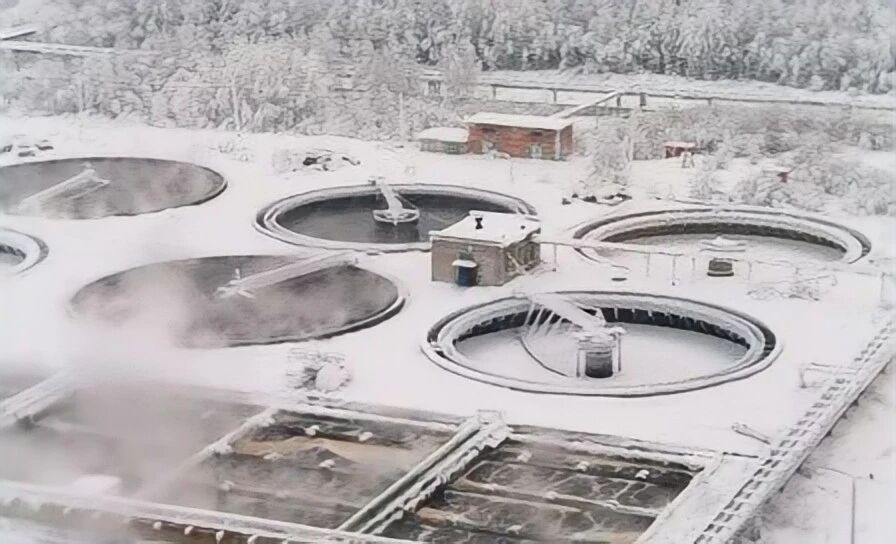 低溫反硝化菌,低溫菌,低溫硝化菌,低溫耐寒氨氮激活菌